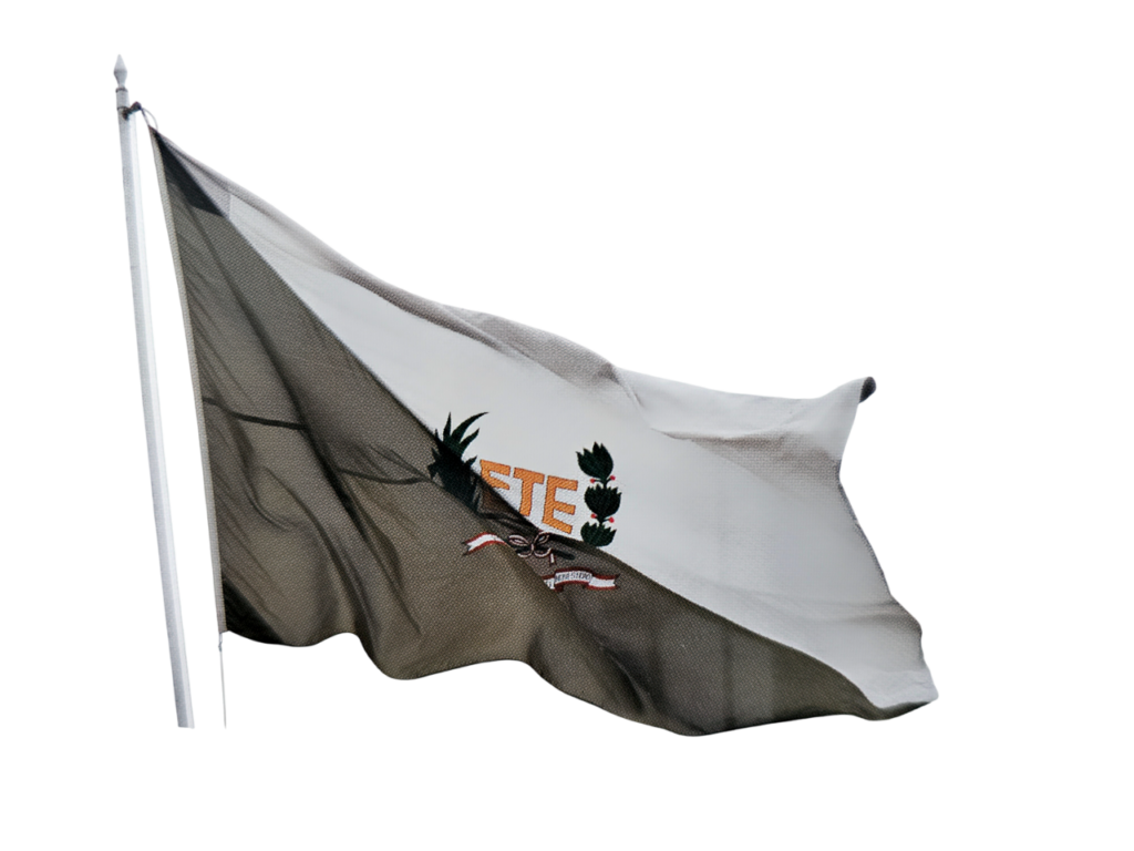 Nuestra Bandera - Instituto de Educación Superior Tecnológico Público ...